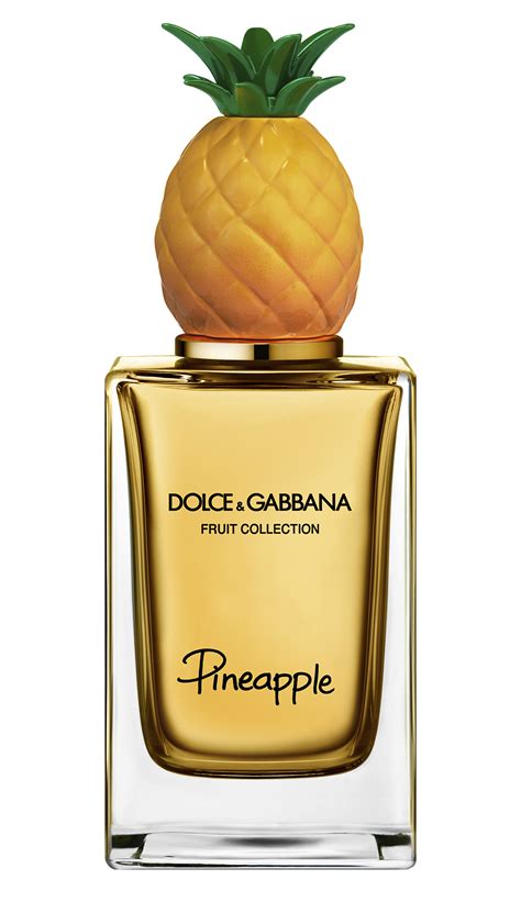 dolce gabbana parfum pub|dolce and gabbana unisex fragrance.